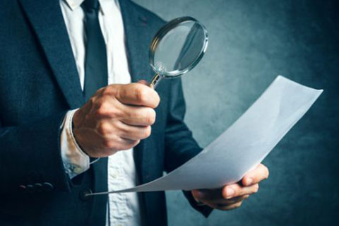 Audit Firms in India